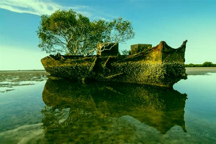 Escorts Dunwich, Australia — Local Companions