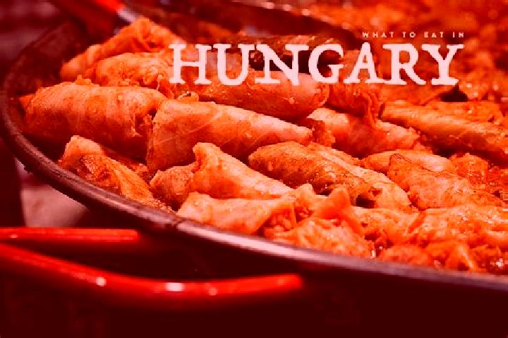 Escorts Dusnok, Hungary — Local Companions