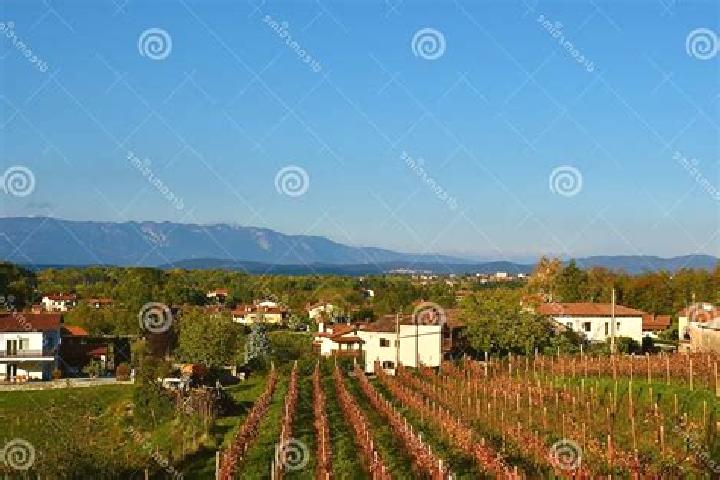 Escorts Dutovlje, Slovenia — Local Companions