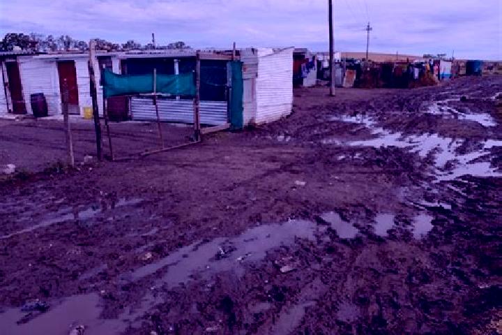 Escorts Dutywa, South Africa — Local Companions