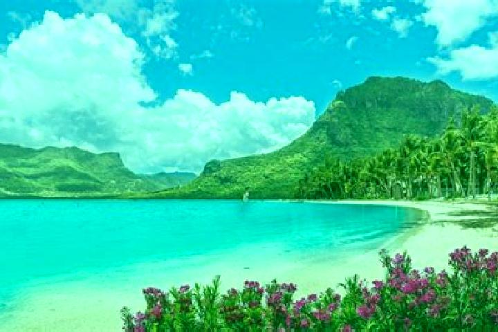 Escorts Ecroignard, Mauritius — Local Companions