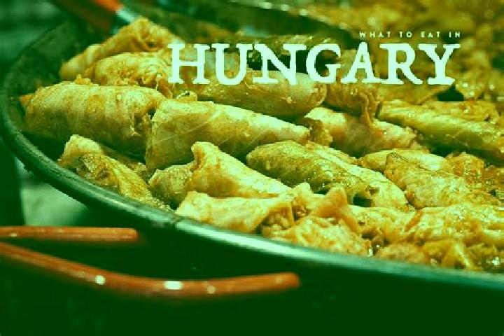 Escorts Ecsed, Hungary — Local Companions