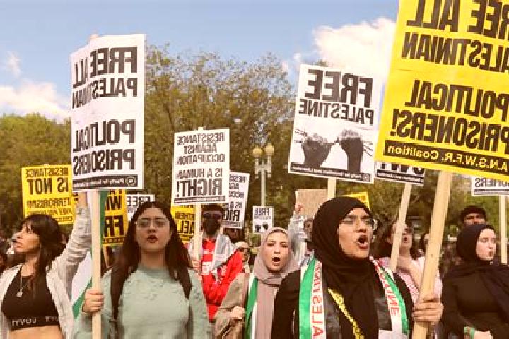 Escorts Efrata, Palestine — Local Companions
