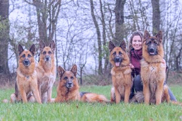 Escorts Egglham, Germany — Local Companions