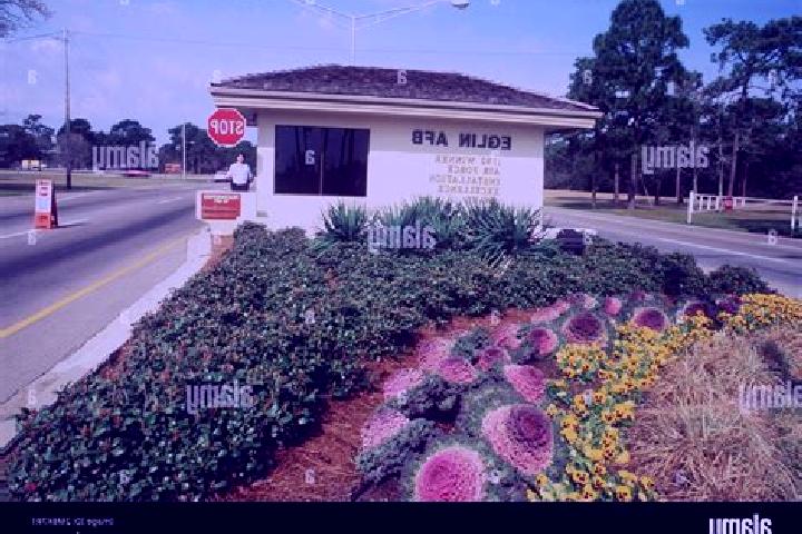 Escorts Eglin Village, United States — Local Companions