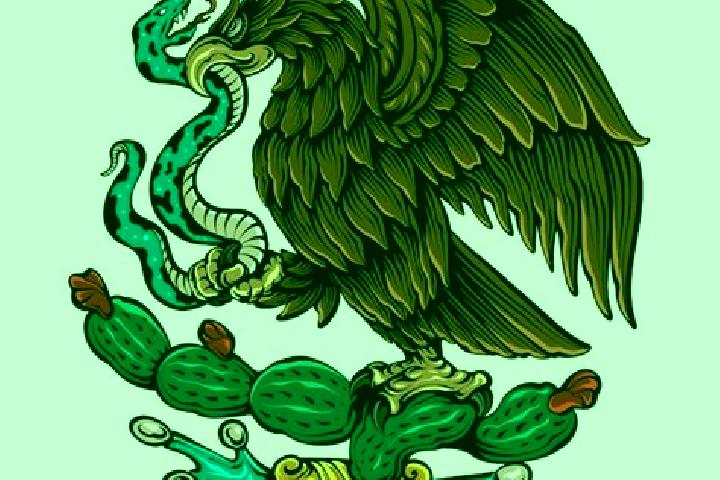 Escorts El Aguila, Mexico — Local Companions