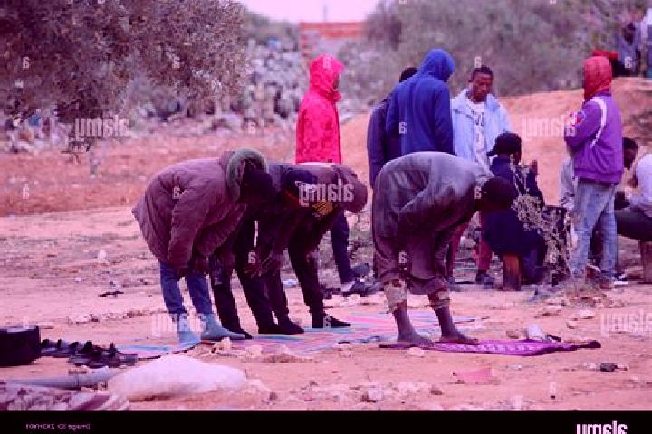 Escorts El Amra, Tunisia — Local Companions