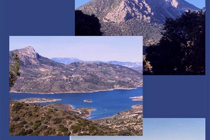 Escorts El Bosque, Spain — Local Companions
