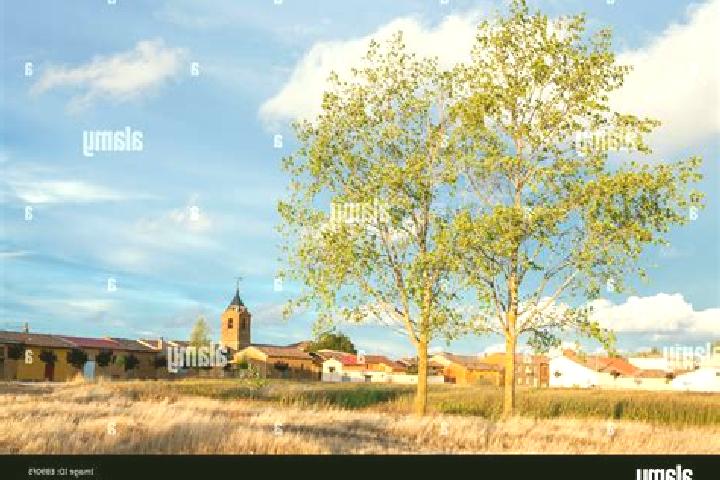 Escorts El Burgo Ranero, Spain — Local Companions