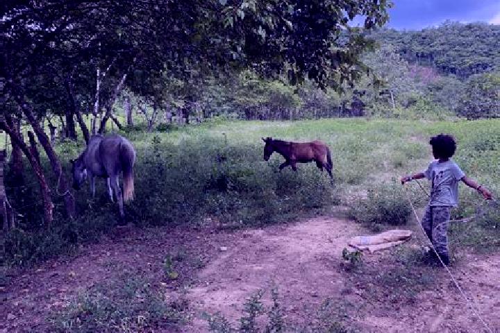 Escorts El Canton de San Pablo, Colombia — Local Companions