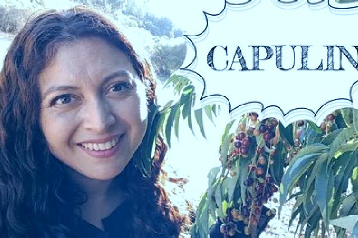 Escorts El Capulin, Mexico — Local Companions