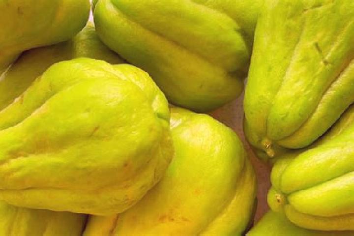 Escorts El Chayote, Mexico — Local Companions