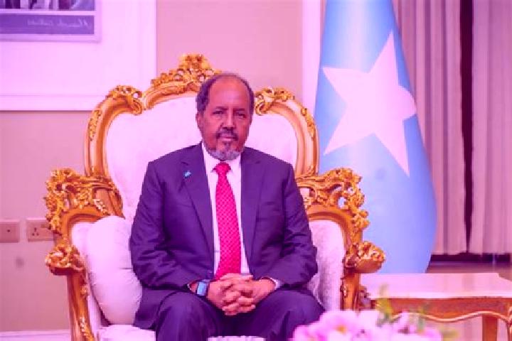 Escorts El Dibir, Somalia — Local Companions