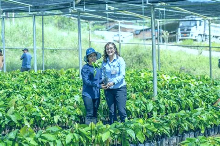 Escorts El Guismi, Ecuador — Local Companions
