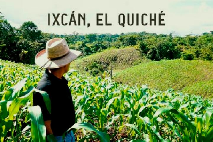 Escorts El Ixcan, Mexico — Local Companions