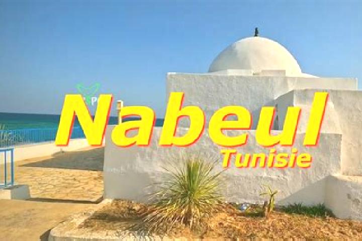 Escorts El Maamoura, Tunisia — Local Companions