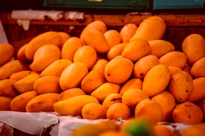 Escorts El Mango, Mexico — Local Companions