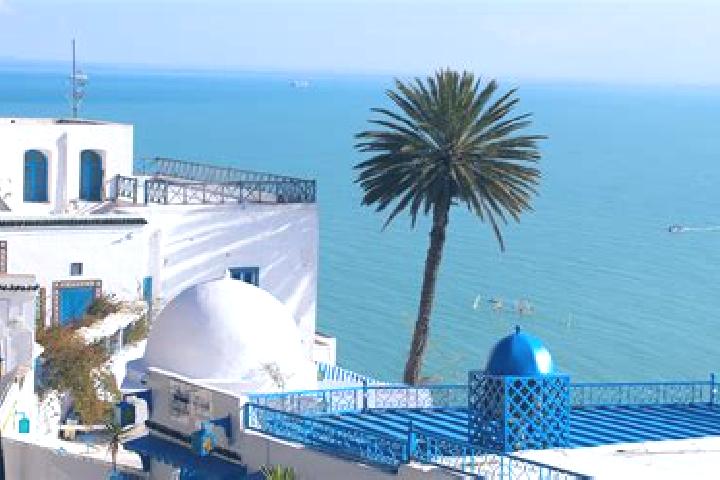 Escorts El Mida, Tunisia — Local Companions