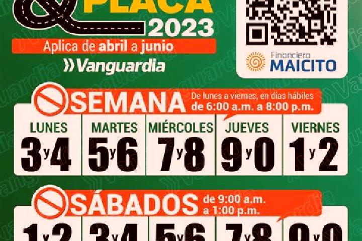 Escorts El Pingo, Argentina — Local Companions