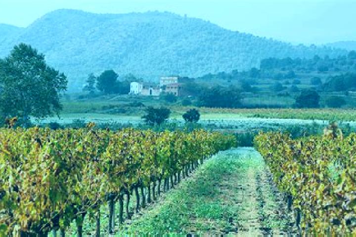 Escorts el Pla del Penedes, Spain — Local Companions