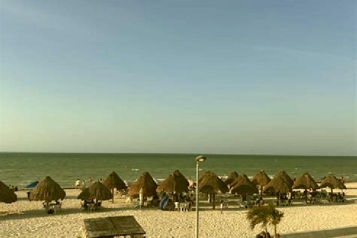 Escorts El Progreso, Mexico — Local Companions