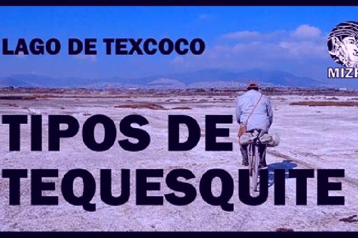 Escorts El Tequesquite, Mexico — Local Companions