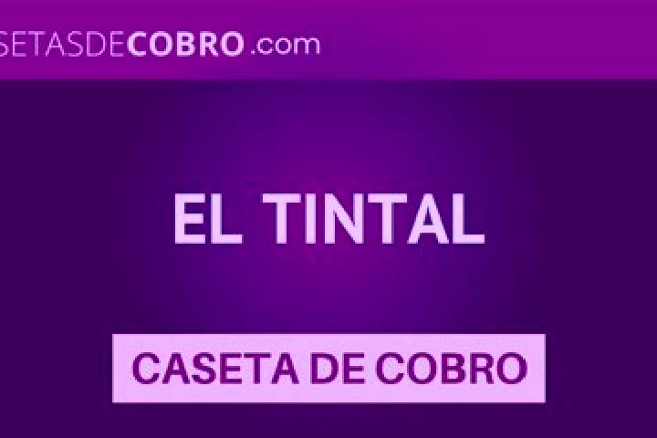 Escorts El Tintal, Mexico — Local Companions