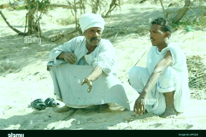 Escorts El-Tor, Egypt — Local Companions