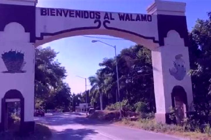 Escorts El Walamo, Mexico — Local Companions