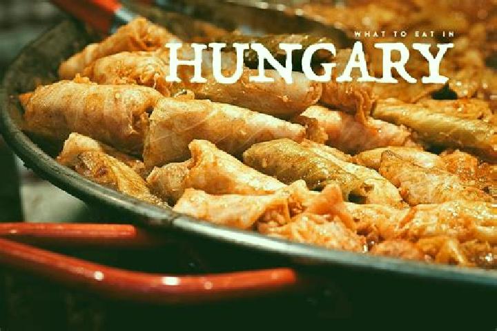 Escorts Elek, Hungary — Local Companions