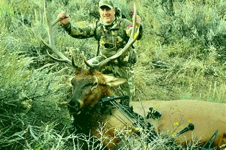 Escorts Elk Horn, United States — Local Companions