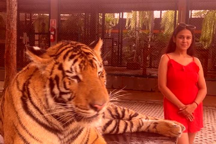Escorts Ellenabad, India — Local Companions