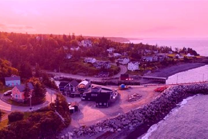 Escorts Ellenvale, Canada — Local Companions