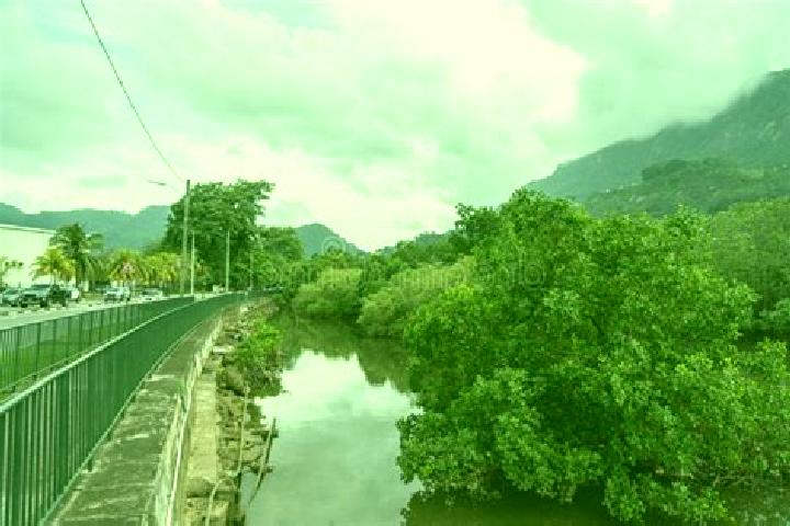 Escorts English River, Seychelles — Local Companions