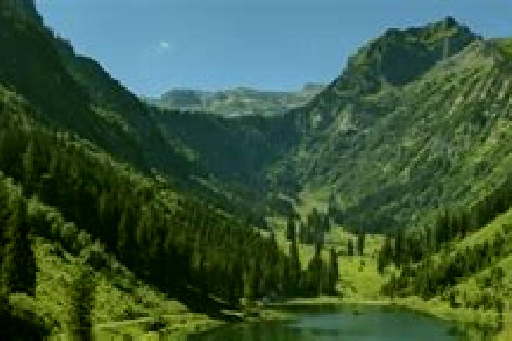 Escorts Ennenda, Switzerland — Local Companions