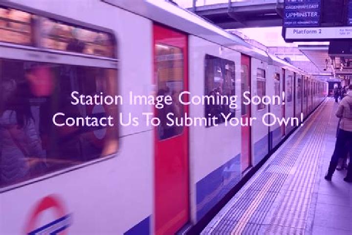 Escorts Epping, United Kingdom — Local Companions