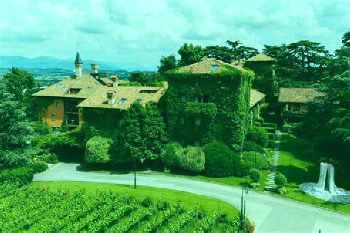 Escorts Erbusco, Italy — Local Companions
