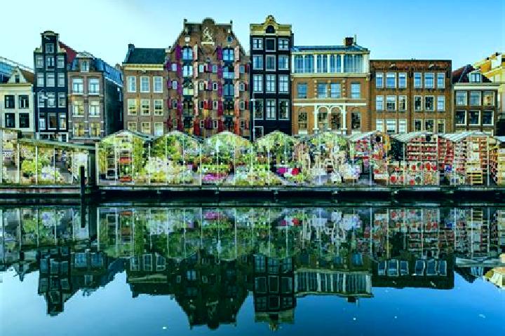 Escorts Esch, Netherlands — Local Companions