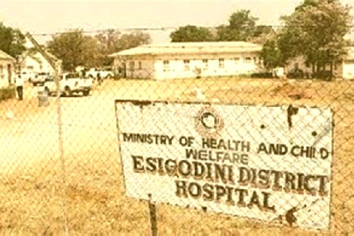 Escorts Esigodini, Zimbabwe — Local Companions