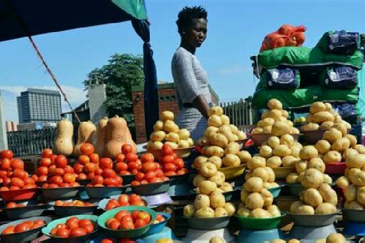 Escorts Estcourt, South Africa — Local Companions