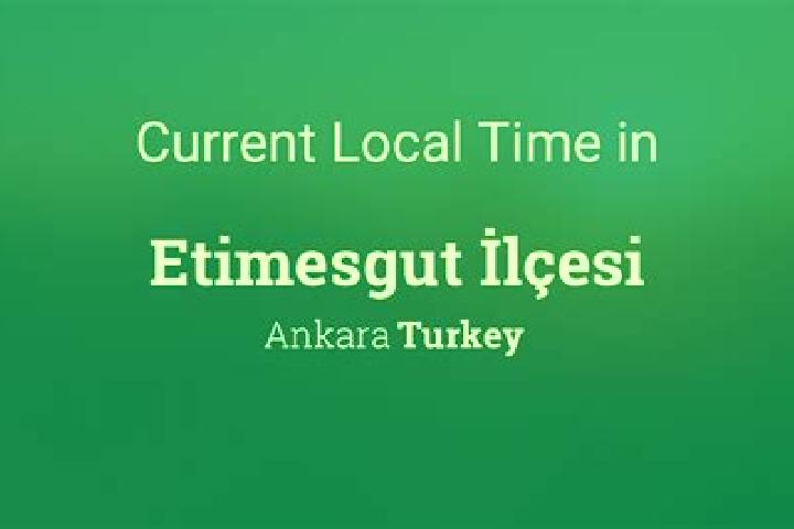 Escorts Etimesgut, Turkey — Local Companions