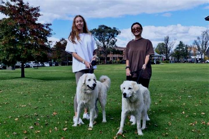 Escorts Evanston Park, Australia — Local Companions