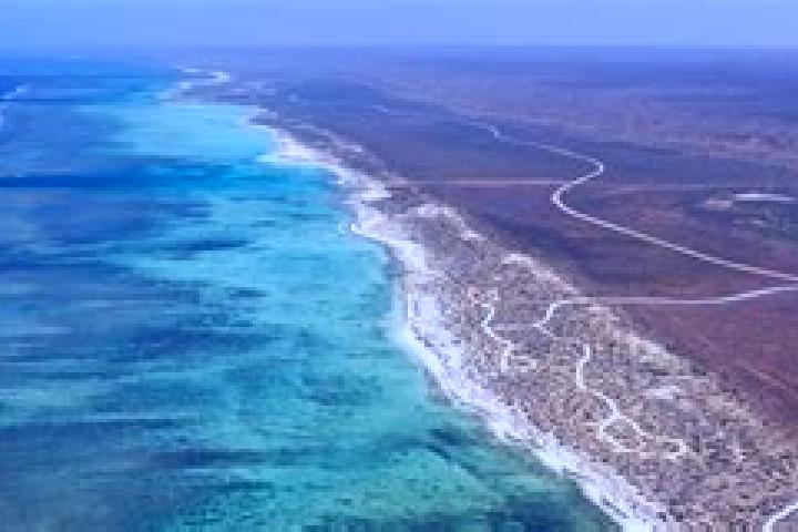 Escorts Exmouth, Australia — Local Companions
