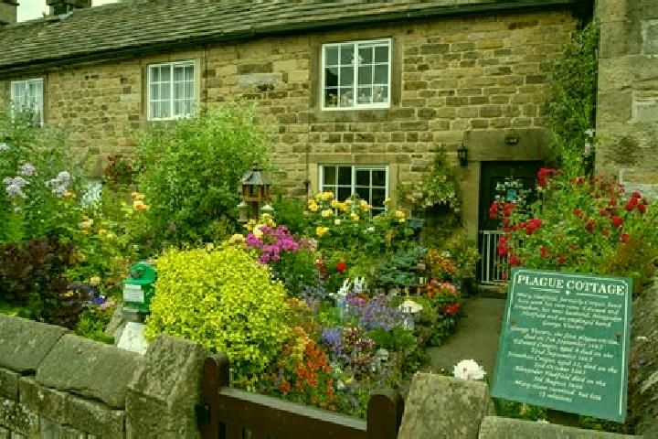 Escorts Eyam, United Kingdom — Local Companions