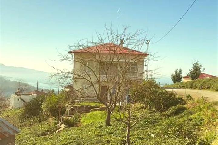 Escorts Eynesil, Turkey — Local Companions