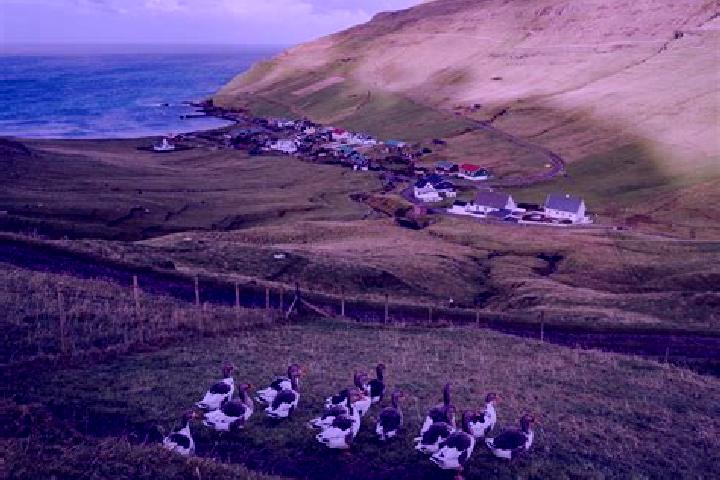Escorts Eystur, Faroe Islands — Local Companions