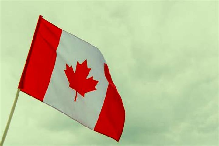Escorts Falkland, Canada — Local Companions