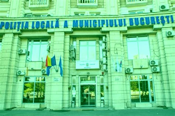 Escorts Farau, Romania — Local Companions
