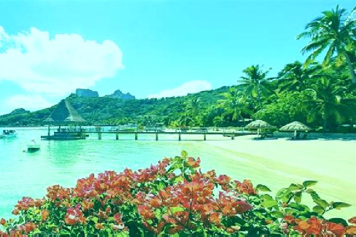 Escorts Fare, French Polynesia — Local Companions