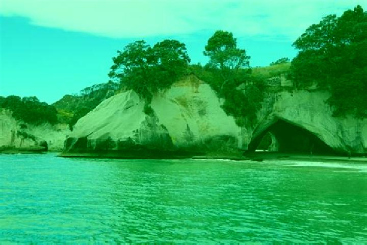 Escorts Farm Cove, New Zealand — Local Companions